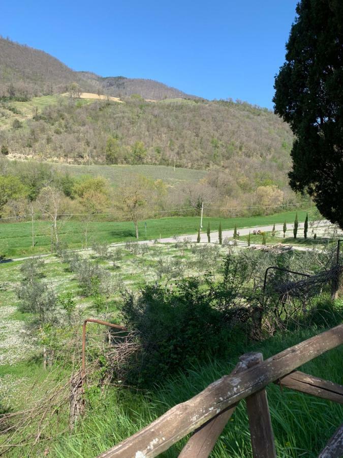 San Martino Vald'Afra Otel Sansepolcro Dış mekan fotoğraf